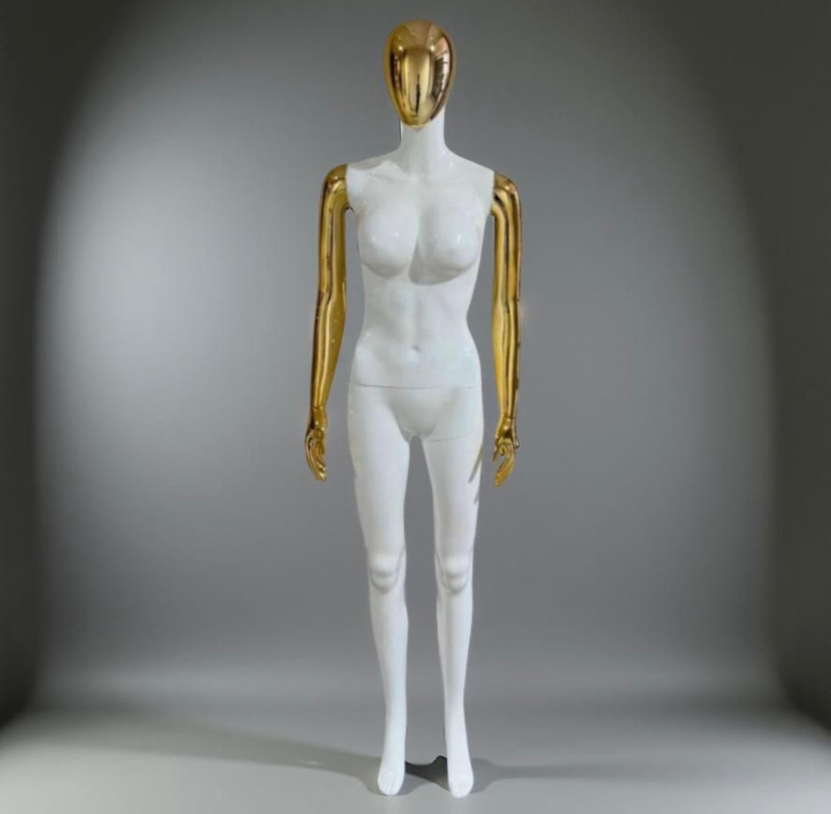 Z Maniquie de importación de cuerpo completo