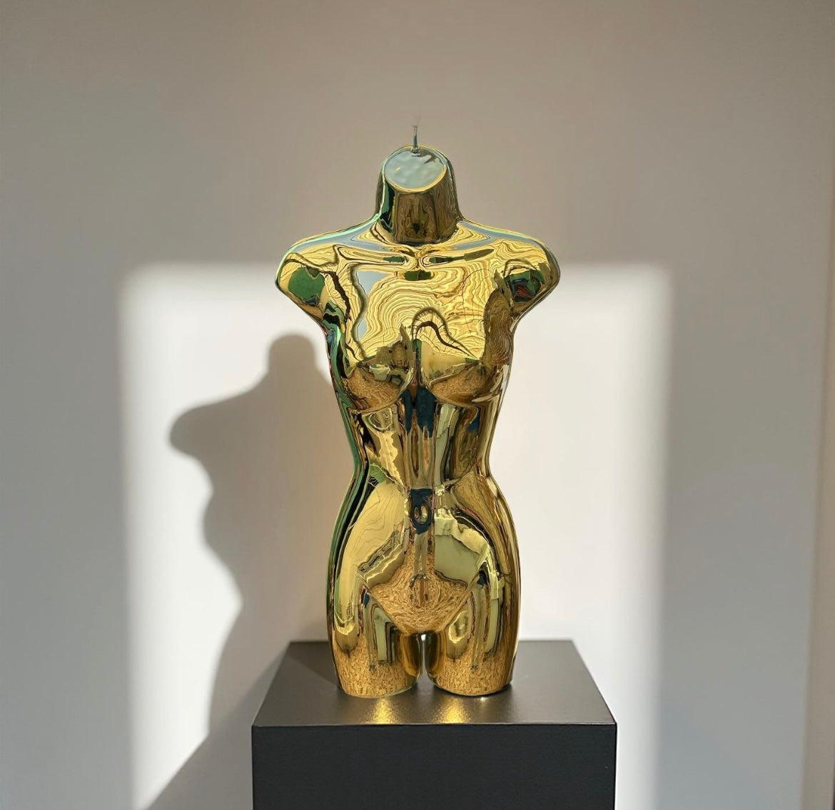 Z Maniquie torso