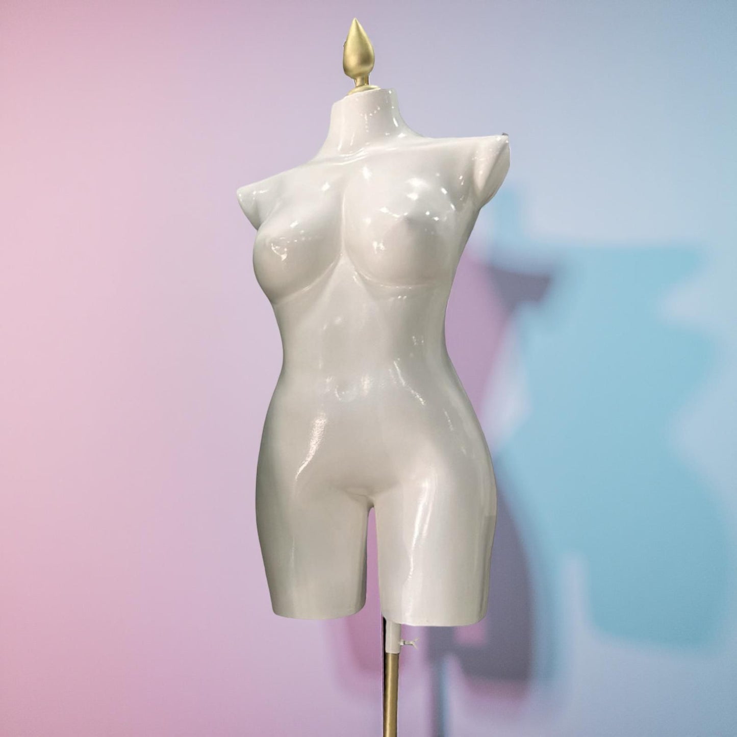 Z Maniquie Curvy