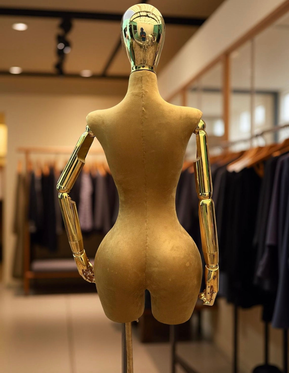Z Maniquie de importación