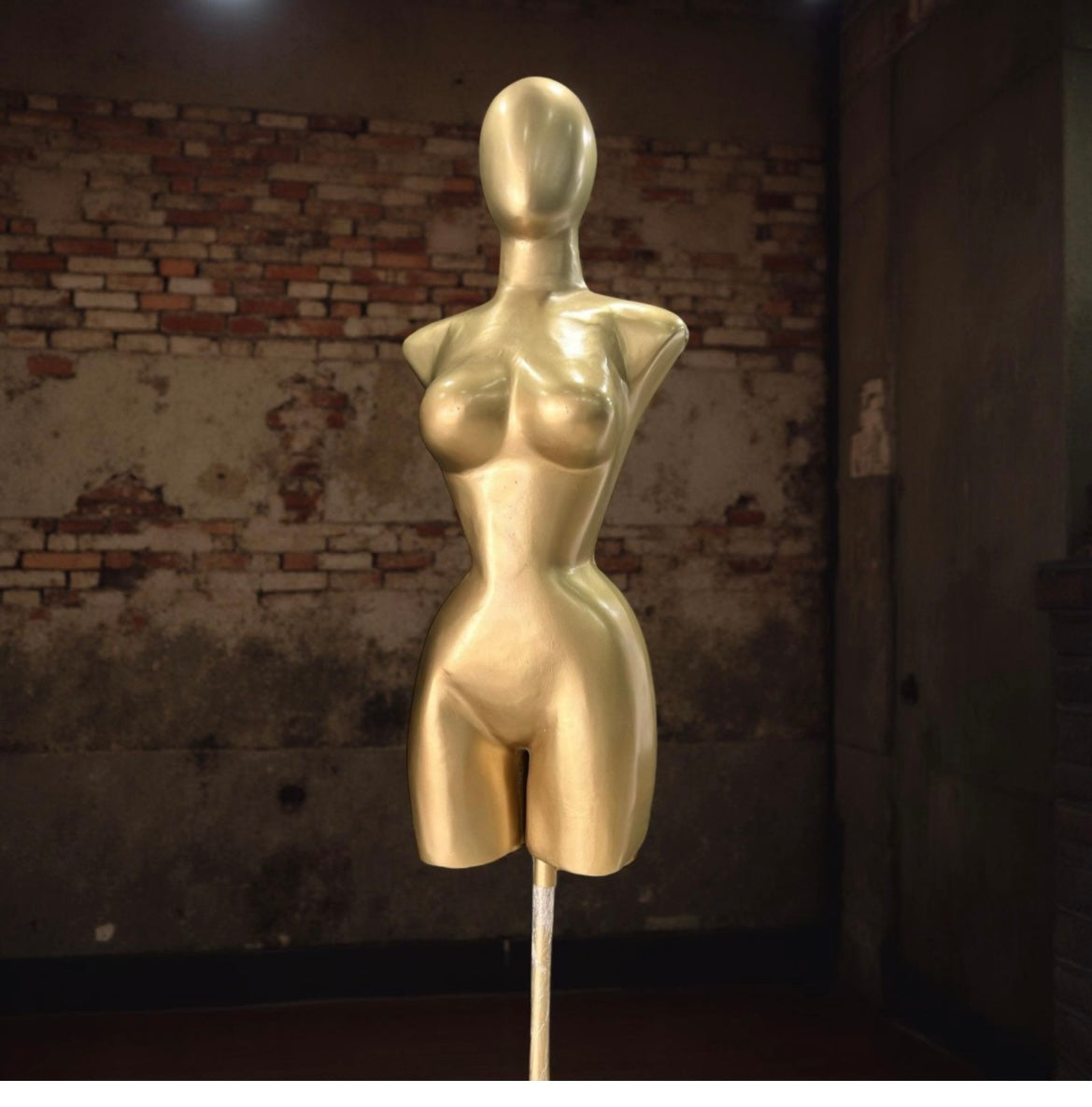 Z Maniquie con cabeza