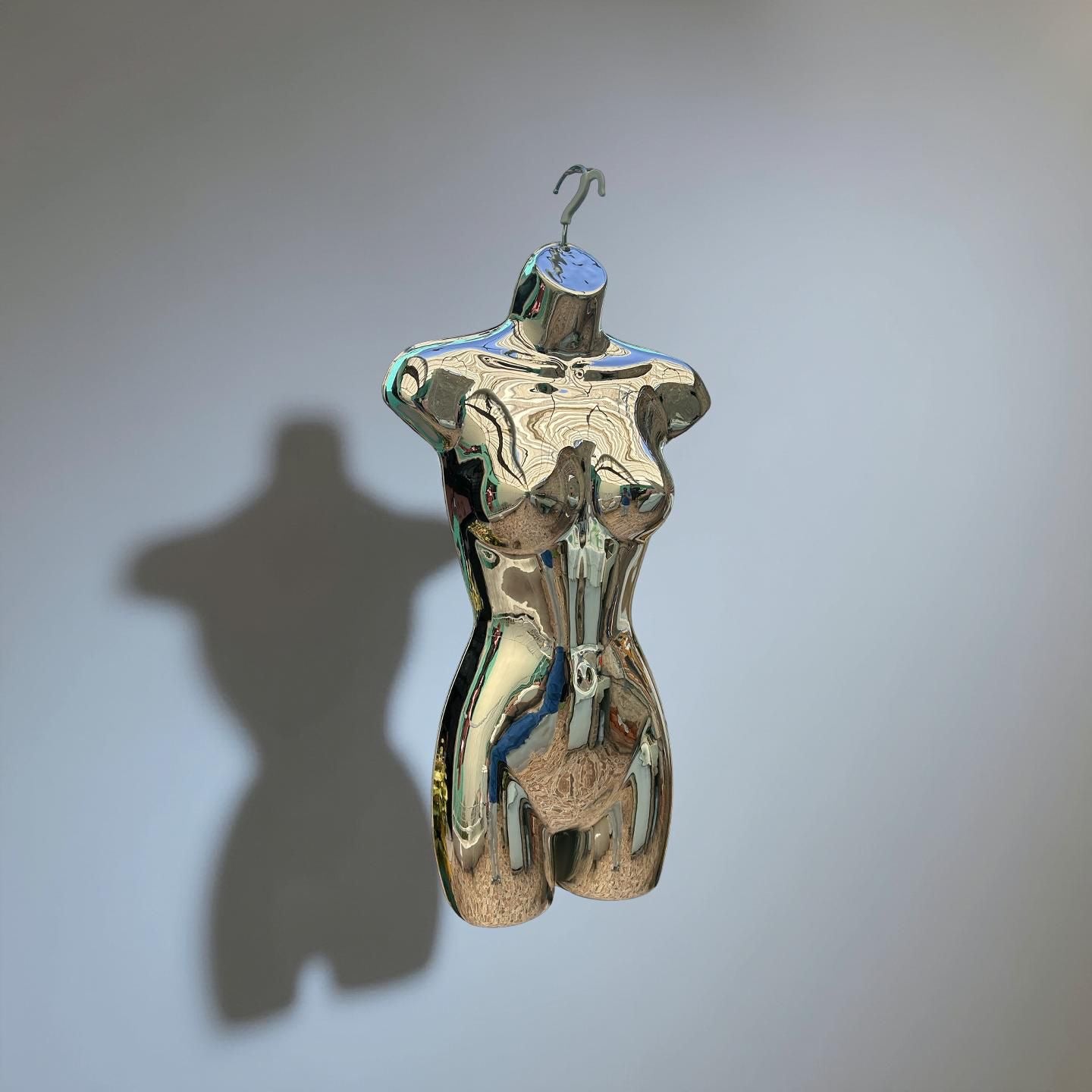 Torso