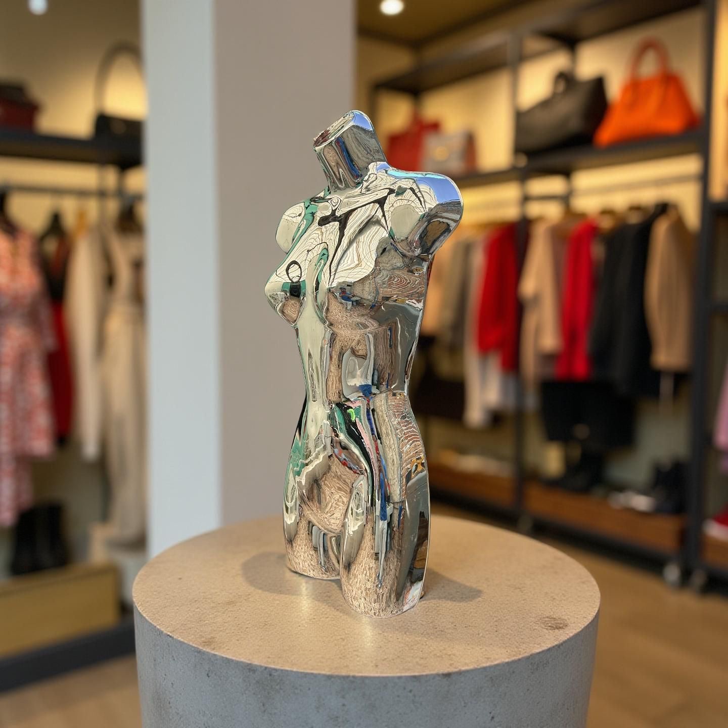 Torso