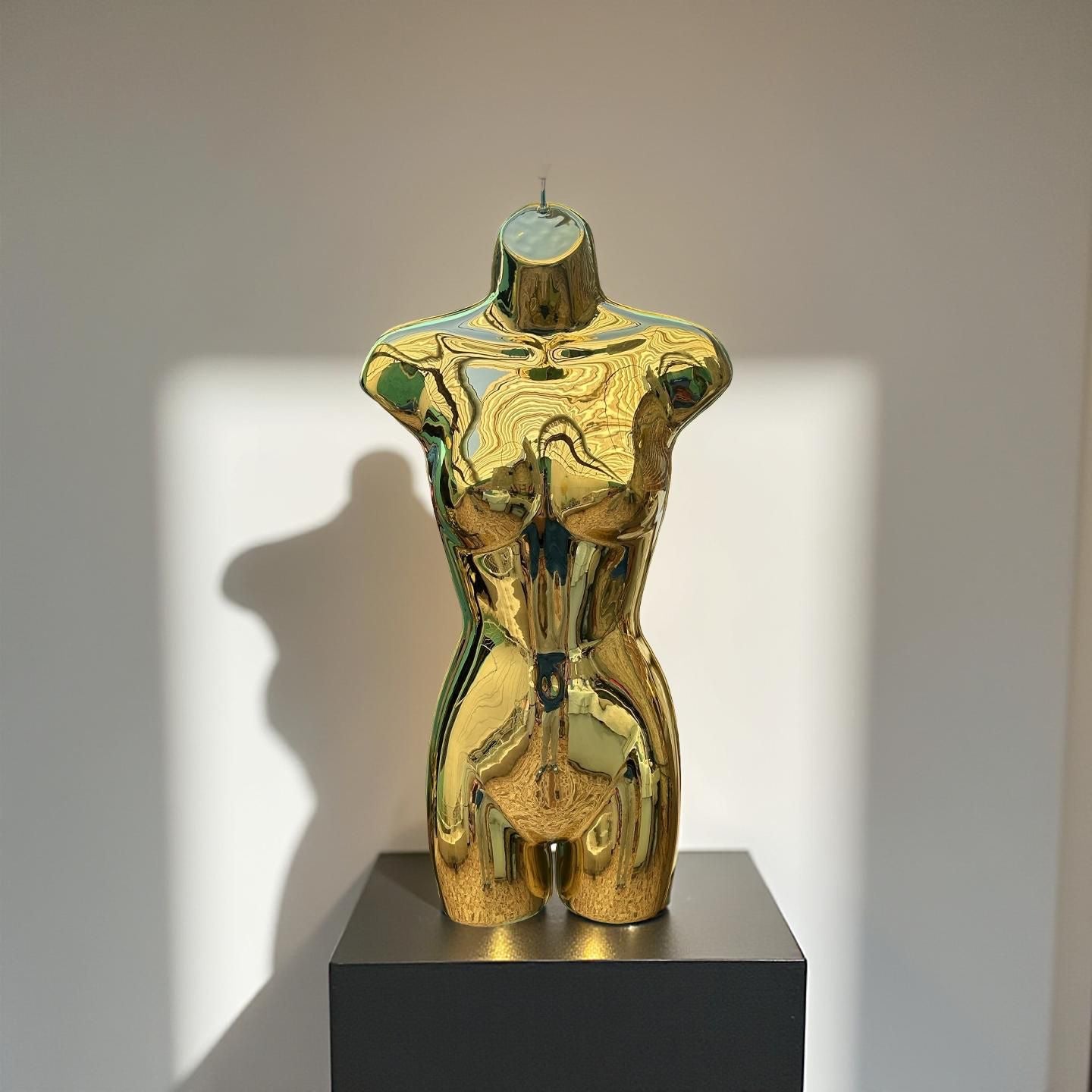 Torso